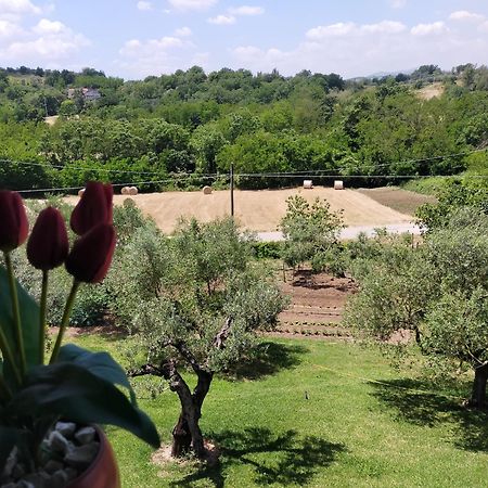 Bed and Breakfast Al Boschetto Melizzano Exterior foto